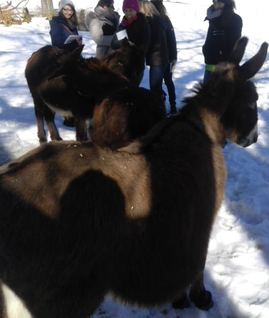 Cours avancé de communication animale no3